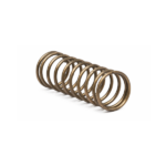 Valve Spring (MK7)