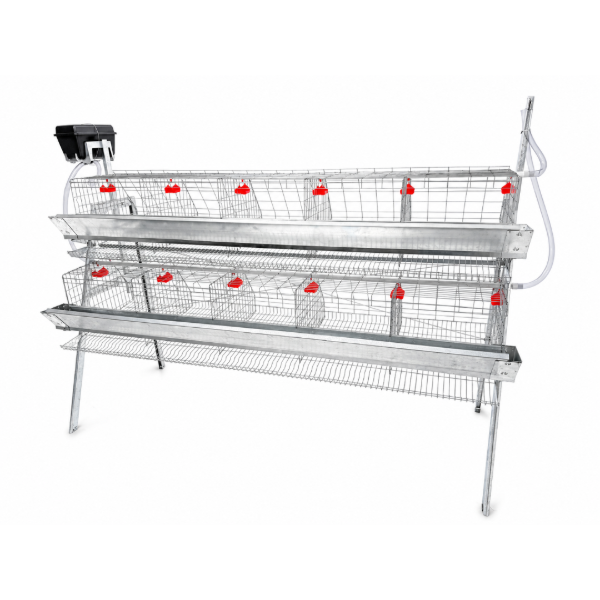 2-Tier Laying Cages