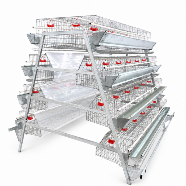 4-Tier Laying Cages - Image 2
