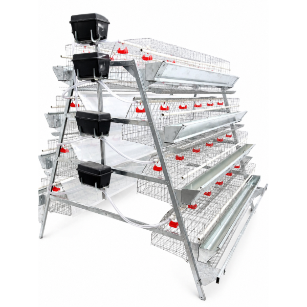 4-Tier Laying Cages