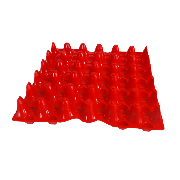 Plastic Egg Tray